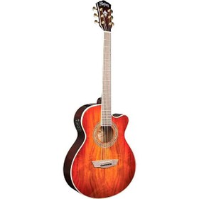 Resim Washburn EA55G Festival Elektro Akustik Gitar 