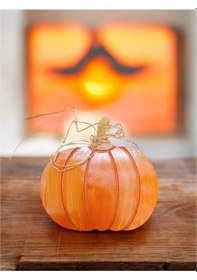 Resim Balkabağı - Pumpkin Bardak Altlığı Diğer 