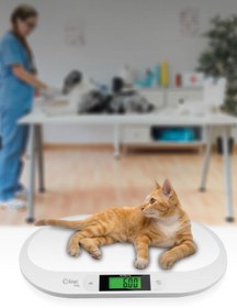 Resim Kiwibaby Kiwi Kbaby 25 Bebek Tartısı 