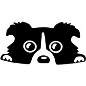 Resim Camdan Bakan Köpek Sticker Oto-motor-laptop-duvar-dekor 10 X 5 Cm 