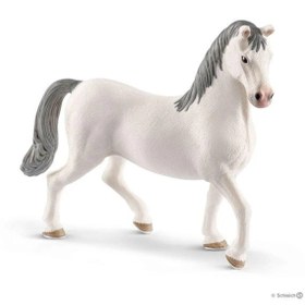 Resim Schleich Lipizzaner Aygır 13887 