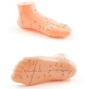 Resim Ayak Akupunktur Bölgesi Maketi 