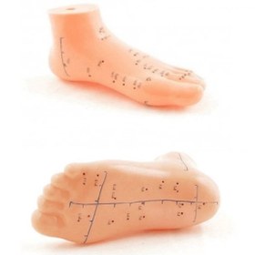 Resim Ayak Akupunktur Bölgesi Maketi 