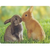 Resim Minik Tavşanlar Mouse Pad 