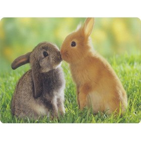 Resim Minik Tavşanlar Mouse Pad 