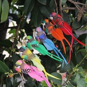 Resim 6 adet Canlı Uzun Kuyruklu Kuş Tüyü Süslemeleri - Bahçe, Avlu ve Noel Ağacı Dekoru için Renkli Köpük Kelebek Klipsleri, Kelebek Süslemeleri 