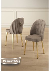 Resim Canisa Edaf Serisi 80x132 Açılabilir Beyaz Mutfak Masa Takımı 6 Cappucino Sandalye Gold Detay Masa Beyaz Sandalye Antrasit Ayak Gold 