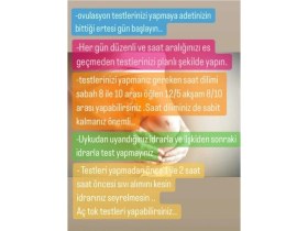 Resim By Storch Lh Ovulasyon Testi 30 Adet + 2 Adet Gebelik Testi 