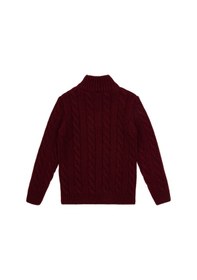 Resim U.S. Polo Assn. U.s. Polo Assn. Erkek Çocuk Bordo Kazak /triko 50315628-vr014 
