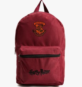 Resim Erkek Çocuk Hogwarts Lisanslı Sırt Çantası 
