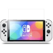 Resim Nintendo Switch Oled Ekran Koruyucu Kırılmaz Cam 