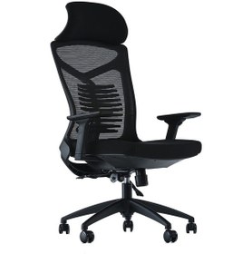 Resim Uzay Ofis Orfe Fileli Müdür Koltuğu 