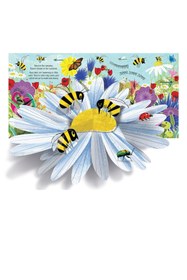 Resim Usborne Pop-up Nature 