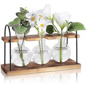 Resim Ahşap Standlı Üreme İstasyonu, Masaüstü Teraryum Hava Saksısı Ampul Camı - Kaiyi 