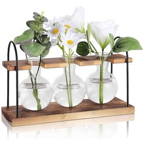 Resim Ahşap Standlı Üreme İstasyonu, Masaüstü Teraryum Hava Saksısı Ampul Camı - Kaiyi 