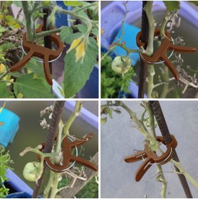Resim DmeFlora Bitki Bağlama Destek Mandalı Kahverengi 5 Adet Orta Boy 