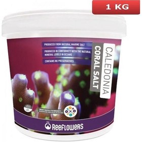 Resim Reeflowers Caledonia Reef Coral Salt Akvaryum Deniz Tuzu 1 KG Açık 