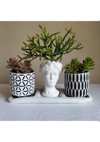 Resim Sedum & Rhipsalis 3'lü Sukulent Seti | Helen Beyaz & Desenli Seri 
