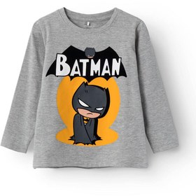 Resim NMMSKYLAR SUPERFRIENDS Gri Erkek Çocuk Kısa Kol T-Shirt 