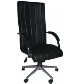 Resim Koltukstilim X-9 Makam Koltuğu Diğer 