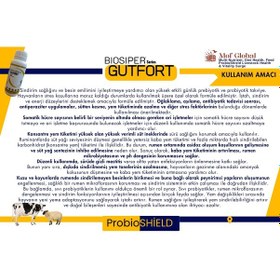 Resim Bıosıper Serisi Gutfort Probiyotik 1000 Ml 