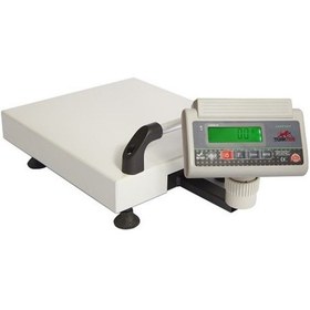 Resim Türkter 150 KG 35x40 Cm Taşınabilir Tartım Baskülü 
