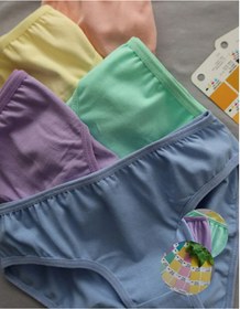 Resim ALYA UNDERWEAR Kız Çocuk - Garson Pamuklu Kumaş Renkli Slip Külot 5'li Paket. 