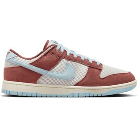 Resim Nike Dunk Low Retro Se Terra Brown Celestine ... Hj4329-200 Çok Renkli 