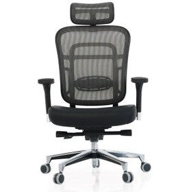 Resim Passion Çalışma Koltuğu Oyuncu Yönetici Makam Koltuğu 