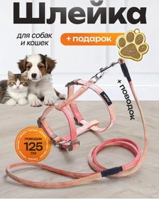 Resim Alenat Orta Ve Küçük Irklar İçin Kedi Göğüs Tasması Ve Tasması 433455560 