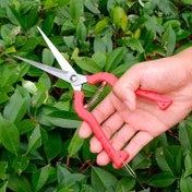 Resim Ekstra Uzun Paslanmaz Çelik Budama Makası - Bonsai, Dikenler, Güller & Hasat için Çok Yönlü Bahçe Makası - Koruyucu Kılıflı Ergonomik Tasarım, Çiçek, Otlar, Meyve, Yoğun Alanlar 