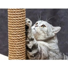 Resim Premium Kalite Kedi Tırmalama İpi 5 Mm Kalınlıkta 25 Metre 