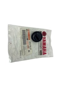 Resim Yamaha Mt 25 Üst Yağ Tapası 