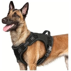 Resim Willowhaven Yeşil M Küçük Orta Köpekler İçin Ayarlanabilir Reflektif Çekmeyen Karşılaştırmalı Eğitim Tasması Yeşil 