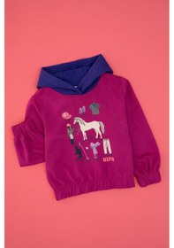 Resim U.s. Polo Assn. Kız Çocuk Fuşya Sweatshirt 50317906-vr023 Fusya 