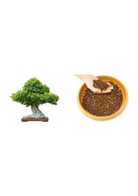 Resim Bonsai Toprağı 15 Lt 
