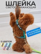 Resim Arkon Işık Yansıtıcı Şeritli Göğüs Tasması 223847407 