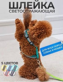 Resim Arkon Işık Yansıtıcı Şeritli Göğüs Tasması 223847407 