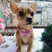 Resim Renkli Boncuklar & Çiçeklerle Şık Ayarlanabilir Evcil Hayvan Papyon Yaka - Kediler & Köpekler için Şık Kırmızı veya Pembe Aksesuar, Günlük Kullanım & Bayramlık Durumlar için Mükemmel 