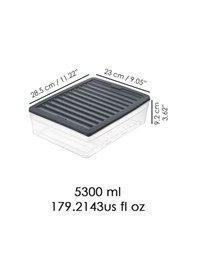 Resim 4'lü Derin Buzdolabı Organizer Set Düzenleyici Saklama Kabı Mikrodalga Difriz Kabı 5300 ML Antrasit 