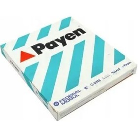 Resim Payen Ag9760 Silindir Kapak Contasi 110448588r 