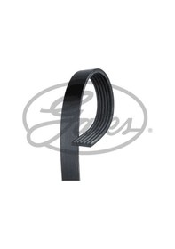 Resim Renault Megane 1996-2008 Arası 1.9 D Gates Marka Vantilatör Kayışı 