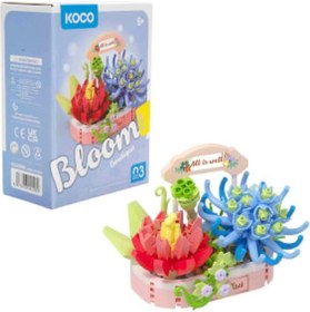 Resim Koco Bloom Boutique Sukulent 271 Parça 