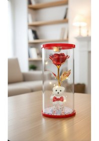 Resim Cam Fanus İçinde Kırmızı Sonsuzluk Gülü Ve Beyaz Ayıcık Led Işıklı Dekoratif Hediye 20 Cm Boy-20 Cm 