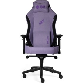 Resim Hawk Gaming Chair Future Dream Oyuncu Koltuğu 