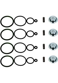 Resim KONYALPG Landirenzo Aeb Evo Enjektör Tamir Takımı 