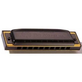 Resim Hohner Pro Harp MS Serisi 562/20 Mızıka (Mi Majör) 