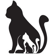 Resim Kedi Ailesi Oto Motor Laptop Duvar Folyo Sticker 50x60 Cm 