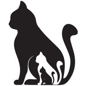 Resim Kedi Ailesi Oto Motor Laptop Duvar Folyo Sticker 50x60 Cm 