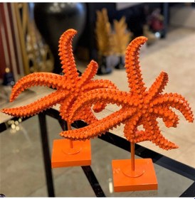 Resim BY ARİ İKİLİ DENİZ YILDIZI DO330-2 